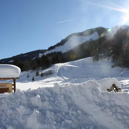 Schaupphof Apartamento *