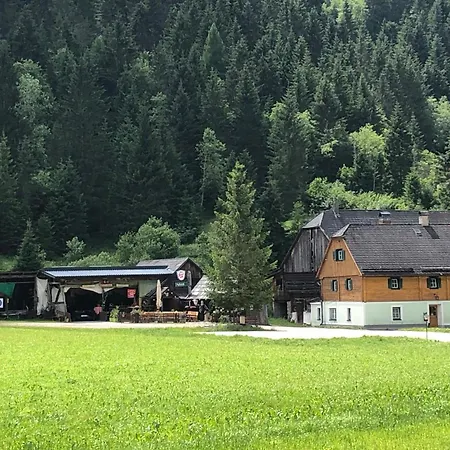 Schaupphof Donnersbachwald