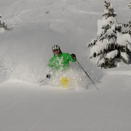 Schaupphof Apartamento Donnersbachwald