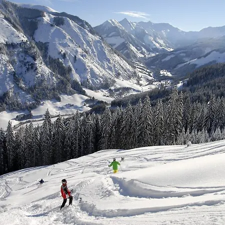 Apartamento Schaupphof *