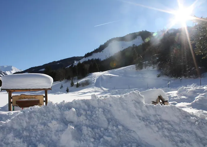 Schaupphof Apartamento *