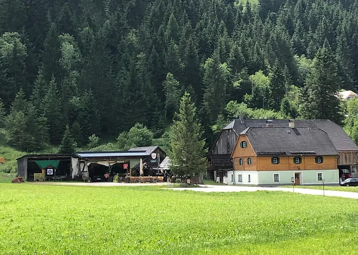 Schaupphof Donnersbachwald