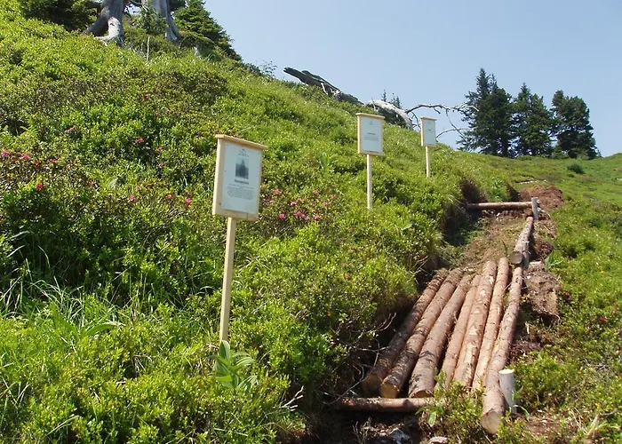 Apartamento Schaupphof Donnersbachwald