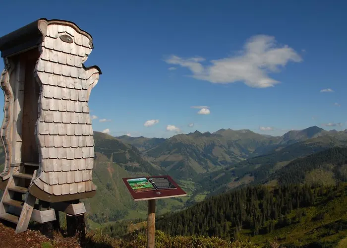 Schaupphof Апартаменты Доннерсбахвальд